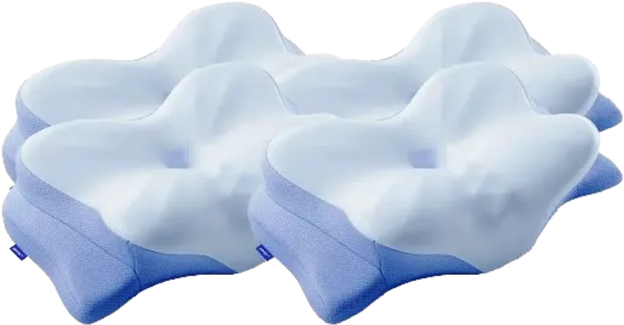 Derila 4 Pillows