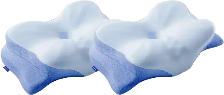 Derila 2 Pillows