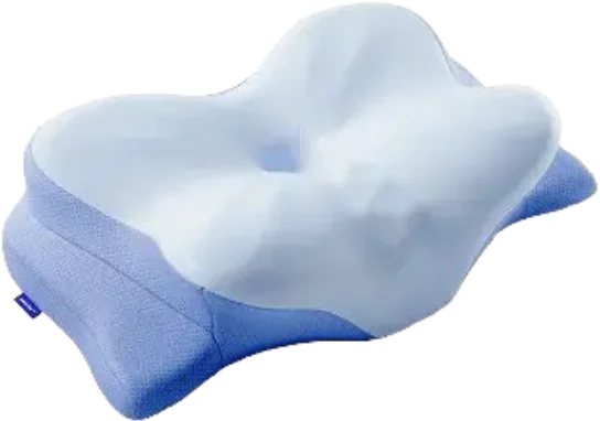 Derila 1 Pillow