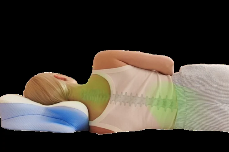 Derila Ergo Pillow spinal alignment support illustration